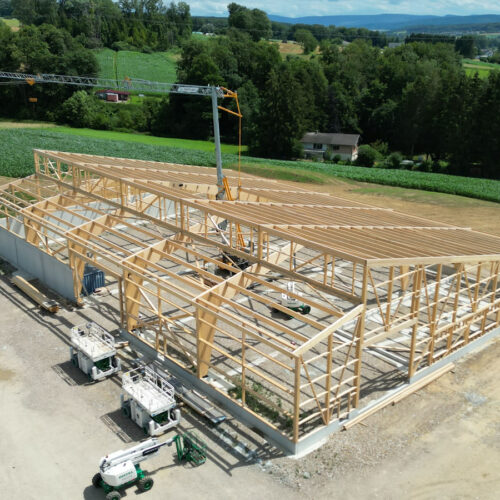 Construction de hangar agricole structure bois