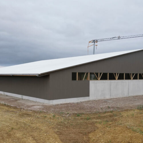 Construction de hangar agricole structure bois